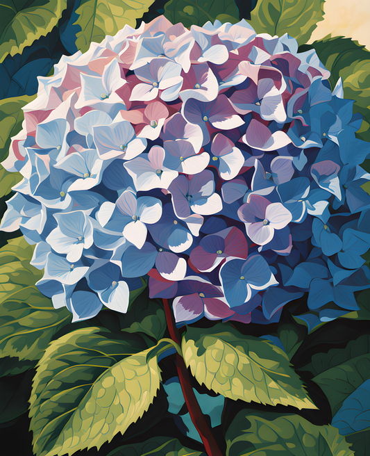 Exotic Flowers Collection (29) - Hydrangea Blooms - Van-Go Paint-By-Number Kit