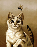 Cats Collection OD (101) - White cat with bee - Van-Go Paint-By-Number Kit