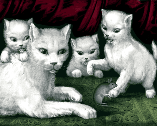 Cats Collection PD (8) - Three little white kitties - their first mouse - Van-Go Paint-By-Number Kit