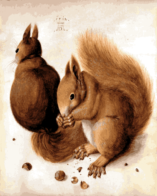 Squirrels by Albrecht Dürer PD (10) - Van-Go Paint-By-Number Kit