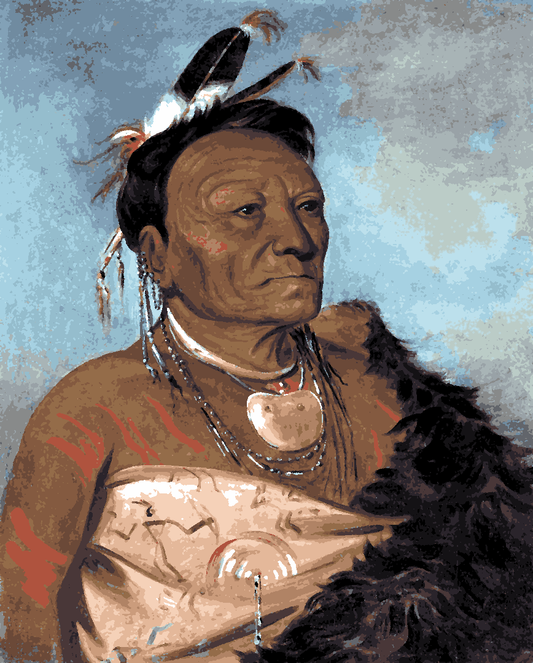 Native Americans Collection PD (10) - Head Chief of the Tribe - Van-Go Paint-By-Number Kit