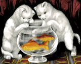 Cats Collection OD (125) - Little white kitties fishing - Van-Go Paint-By-Number Kit