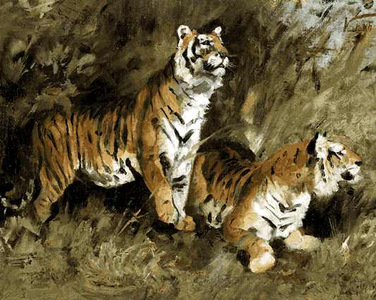 Tigers Collection PD (12) - Tiger im hohen Gras by Géza Vastagh - Van-Go Paint-By-Number Kit