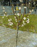Vincent van Gogh Collection (13) - Blossoming almond tree - Van-Go Paint-By-Number Kit