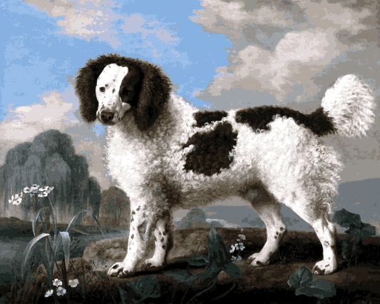 Dogs Collection PD (13) - Water Spaniel by George Stubbs - Van-Go Paint-By-Number Kit