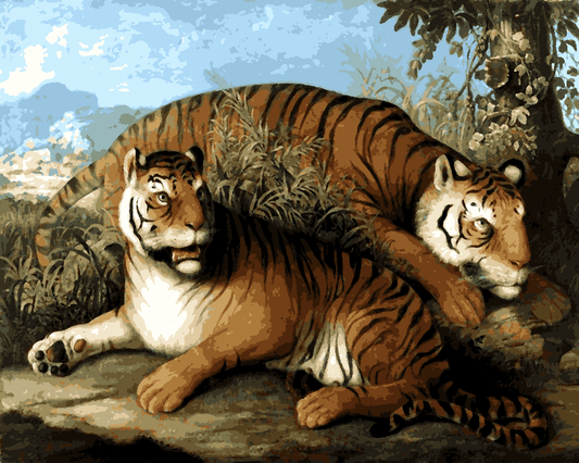 Tigers Collection PD (13) - Royal Bengal Tigers by Johann Wenzel Peter - Van-Go Paint-By-Number Kit