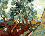 Vincent Van Gogh OD (144) - The garden of St. Paul's Hospital - Van-Go Paint-By-Number Kit
