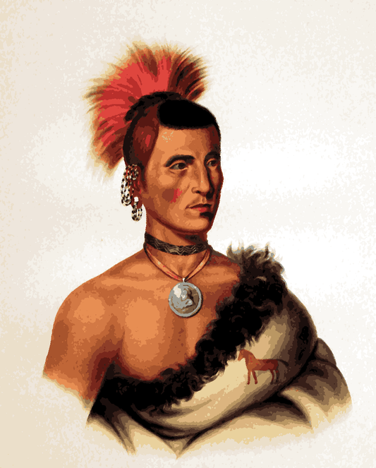Native Americans Collection PD (16) - Pawnee Chief - Van-Go Paint-By-Number Kit