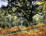 Claude Monet OD (175) - The Bodmer Oak - Van-Go Paint-By-Number Kit