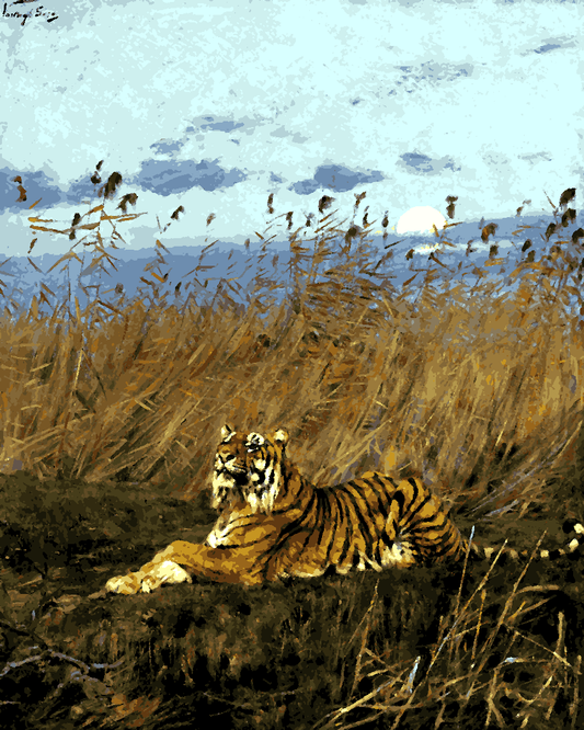 Tigers Collection PD (17) - A Tiger among rushes in the moonlight by Géza Vastagh - Van-Go Paint-By-Number Kit