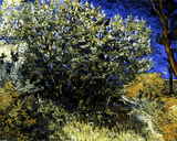 Vincent van Gogh Collection (18) - Bush - Van-Go Paint-By-Number Kit