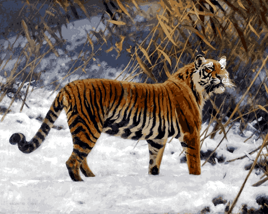 Tigers Collection PD (1) - A Tiger Prowling in the Snow by Hugo Ungewitter - Van-Go Paint-By-Number Kit