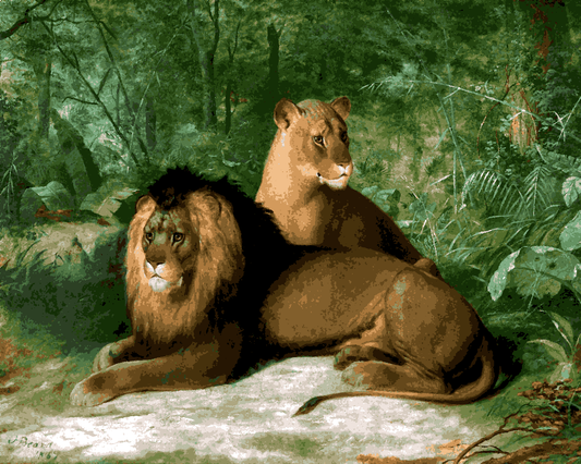 Lions Collection PD (22) - Lion and Lioness by James Henry Beard - Van-Go Paint-By-Number Kit