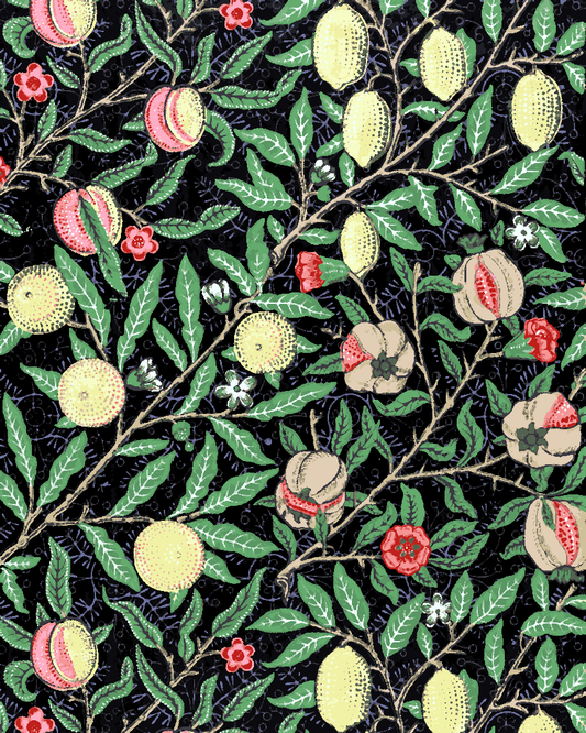 William Morris Collection PD (23) - Fruit pattern - Van-Go Paint-By-Number Kit