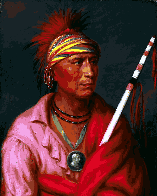 Native Americans Collection PD (26) - No Heart - Van-Go Paint-By-Number Kit
