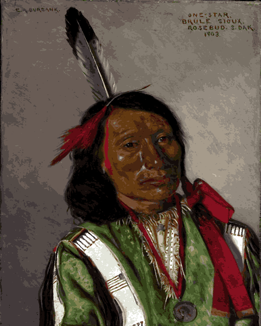 Native Americans Collection PD (29) - One-star - Van-Go Paint-By-Number Kit