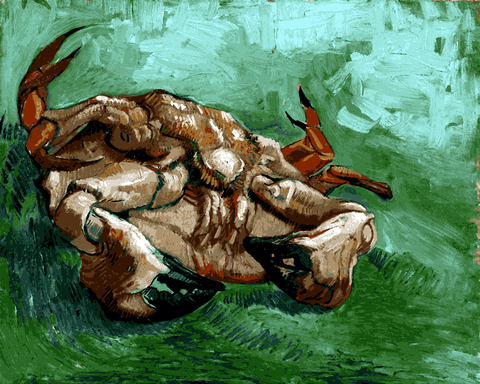 Vincent Van Gogh OD (29) - Crustacean, lying on his back - Van-Go Paint-By-Number Kit