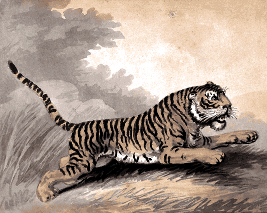 Tigers Collection PD (2) - A Tiger Leaping to the Right - Van-Go Paint-By-Number Kit