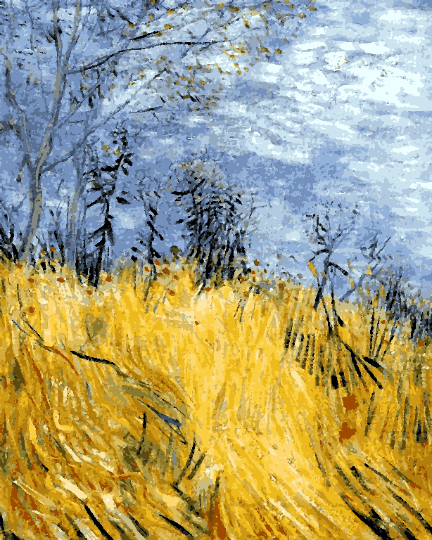 Vincent van Gogh Collection (30) - Edge of a wheat field with poppies - Van-Go Paint-By-Number Kit