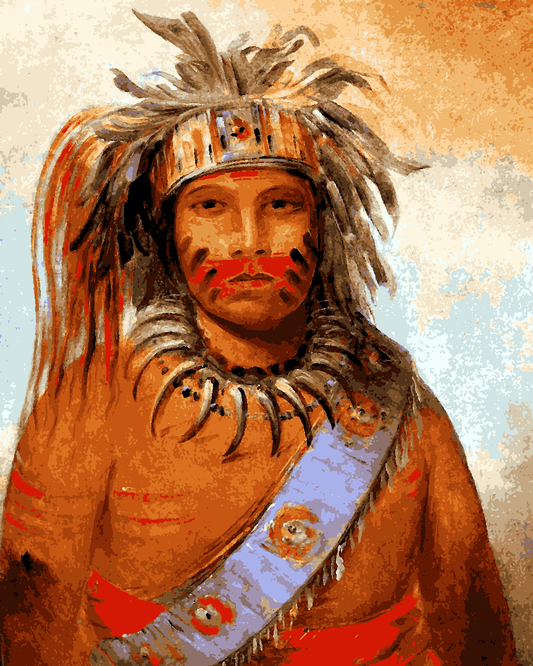 Native Americans Collection PD (31) - Tempest Bird - Van-Go Paint-By-Number Kit