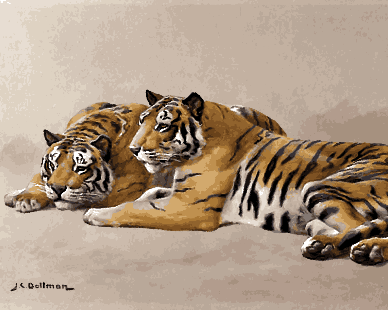Tigers Collection PD (33) - Tiger Studies by John Charles Dollman - Van-Go Paint-By-Number Kit