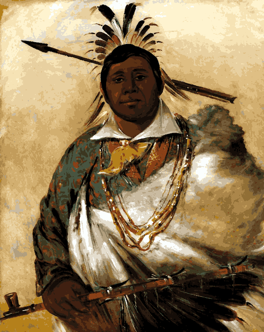Native Americans Collection PD (3) - Black Coat, a Chief - Van-Go Paint-By-Number Kit