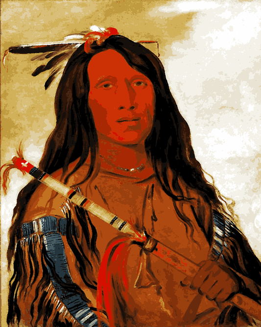 Native Americans Collection PD (43) - Wolf on the Hill, Chief of the Tribe - Van-Go Paint-By-Number Kit