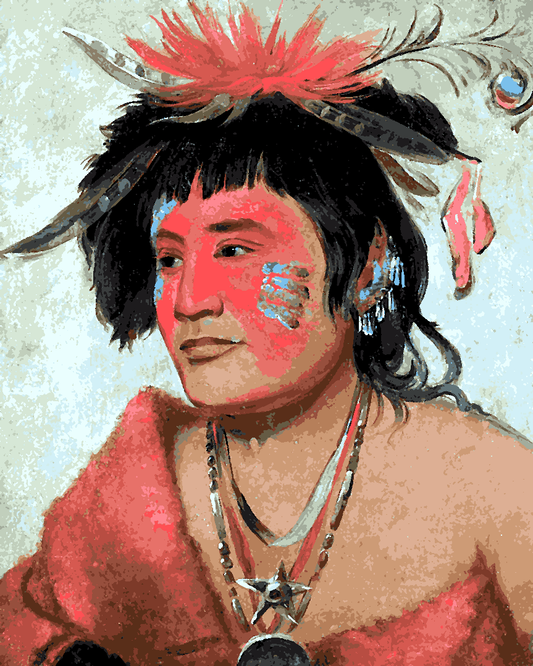 Native Americans Collection PD (46) - a Warrior - Van-Go Paint-By-Number Kit