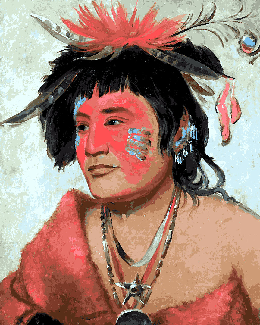 Native Americans Collection PD (46) - a Warrior - Van-Go Paint-By-Number Kit