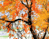 Edward Okuń Collection (4) - Autumn leaves - Van-Go Paint-By-Number Kit