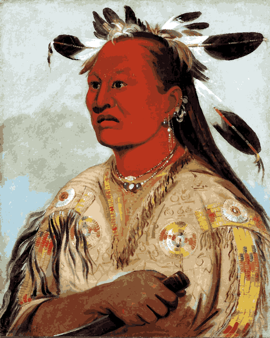 Native Americans Collection PD (4) - Bloody Hand, Chief of the Tribe - Van-Go Paint-By-Number Kit
