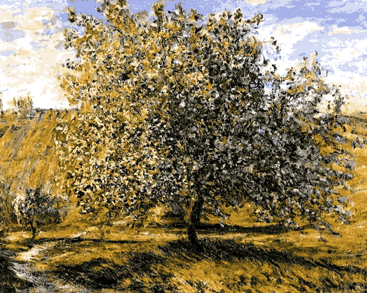 Claude Monet PD (4) - Apple tree in blossom near Vetheuil - Van-Go Paint-By-Number Kit