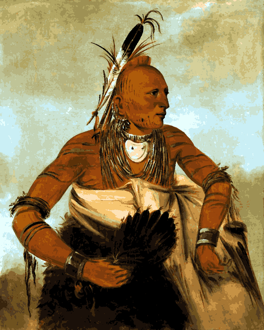 Native Americans Collection PD (53) - a Handsome Brave - Van-Go Paint-By-Number Kit