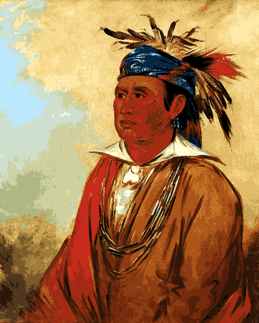 Native Americans Collection PD (57) - The Swan, a Warrior - Van-Go Paint-By-Number Kit