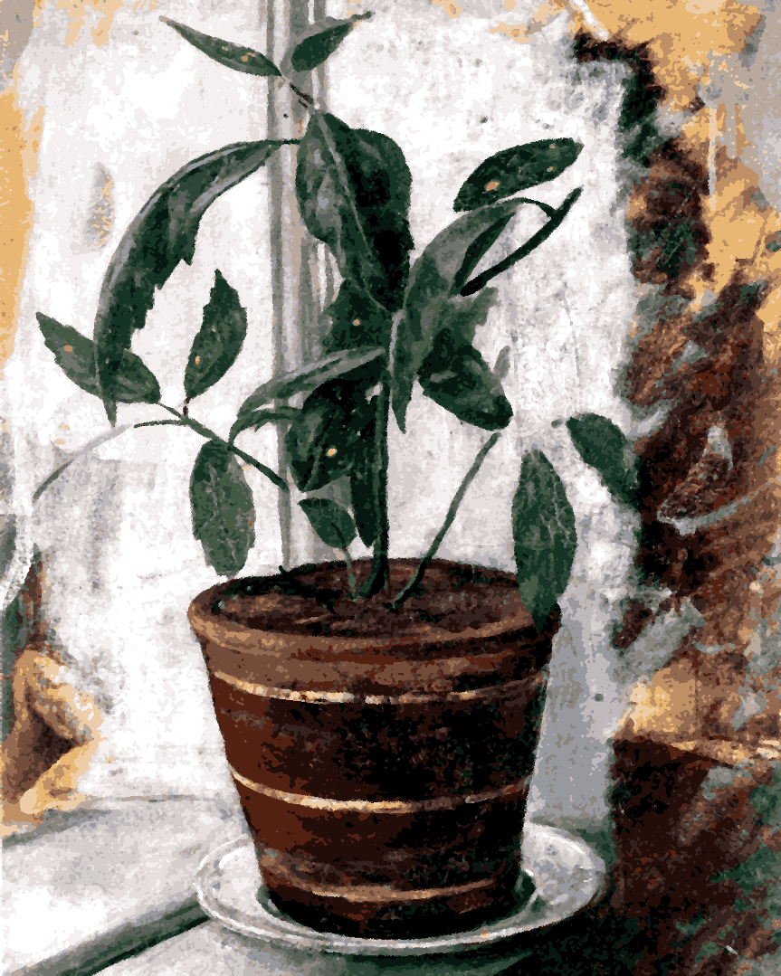 Edvard Munch Collection PD (58) - Potted Plant on the Windowsill - Van-Go Paint-By-Number Kit