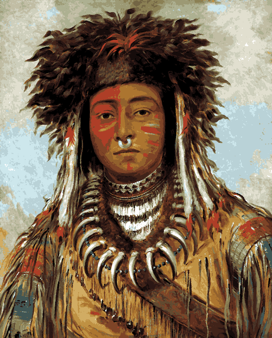 Native Americans Collection PD (5) - Boy Chief - Van-Go Paint-By-Number Kit