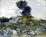 Vincent van Gogh Collection (62) - Oak on the rocks - Van-Go Paint-By-Number Kit