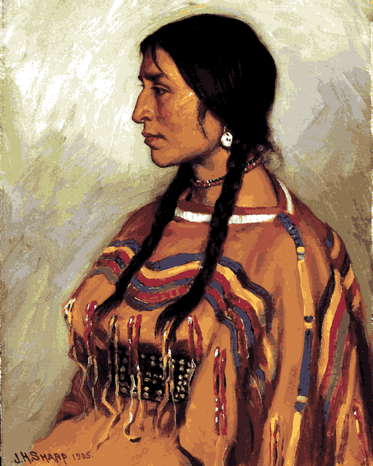 Native Americans Collection PD (63) - Blackfoot Indian Girl - Van-Go Paint-By-Number Kit