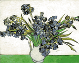 Vincent Van Gogh OD (63) - Irises - Van-Go Paint-By-Number Kit