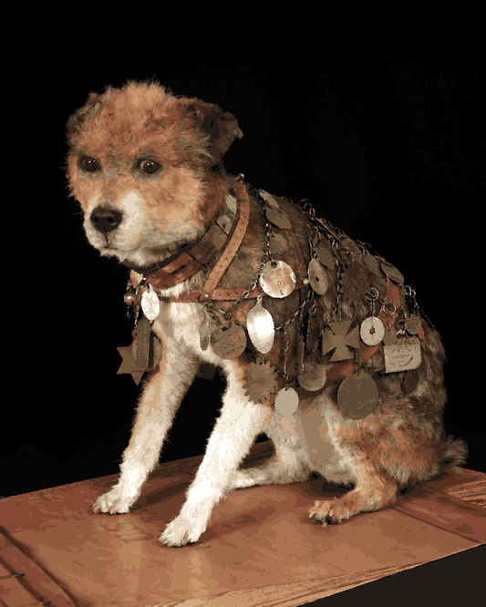 Dogs Collection PD (67) - Owney the dog - Van-Go Paint-By-Number Kit