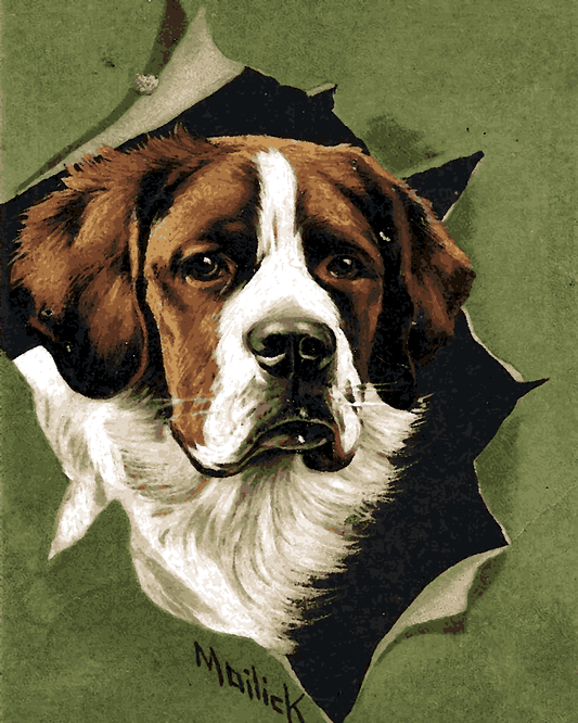 Dogs Collection PD (6) - St Bernard dog by A. M. Mailick - Van-Go Paint-By-Number Kit