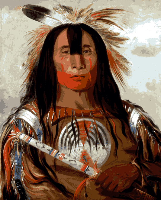 Native Americans Collection PD (6) - Buffalo Bulls Back Fat - Van-Go Paint-By-Number Kit