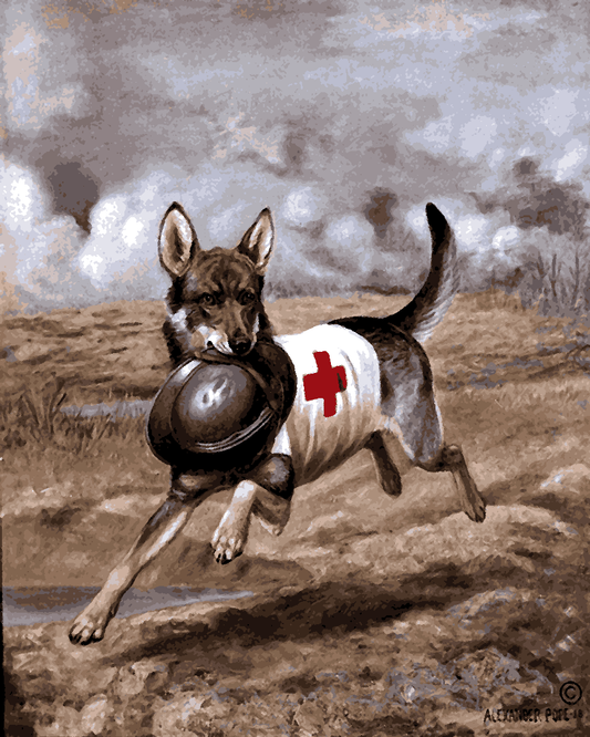 Dogs Collection PD (73) - Red Cross Dog by Alexander Pope - Van-Go Paint-By-Number Kit