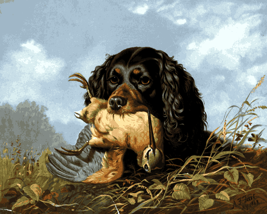 Dogs Collection PD (75) - Spaniel and Woodcock - Van-Go Paint-By-Number Kit