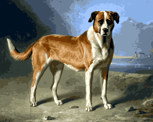 Dogs Collection PD (78) - St. Bernard Dog by Bernard te Gempt - Van-Go Paint-By-Number Kit