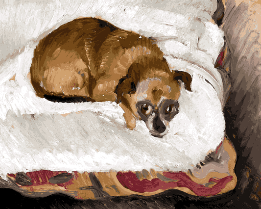 Dogs Collection PD (85) - Lying dog by Zygmunt Waliszewski - Van-Go Paint-By-Number Kit