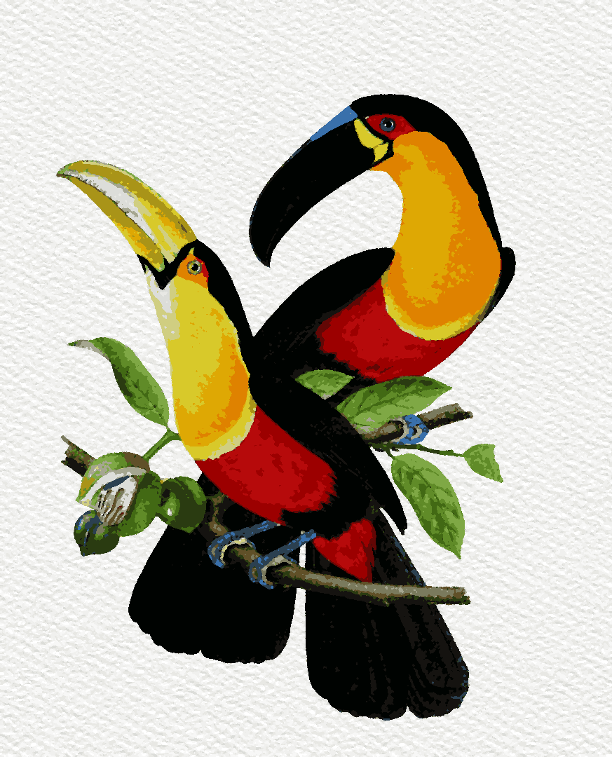 Brazil Collection OD (6) - Toco Toucan - Van-Go Paint-By-Number Kit