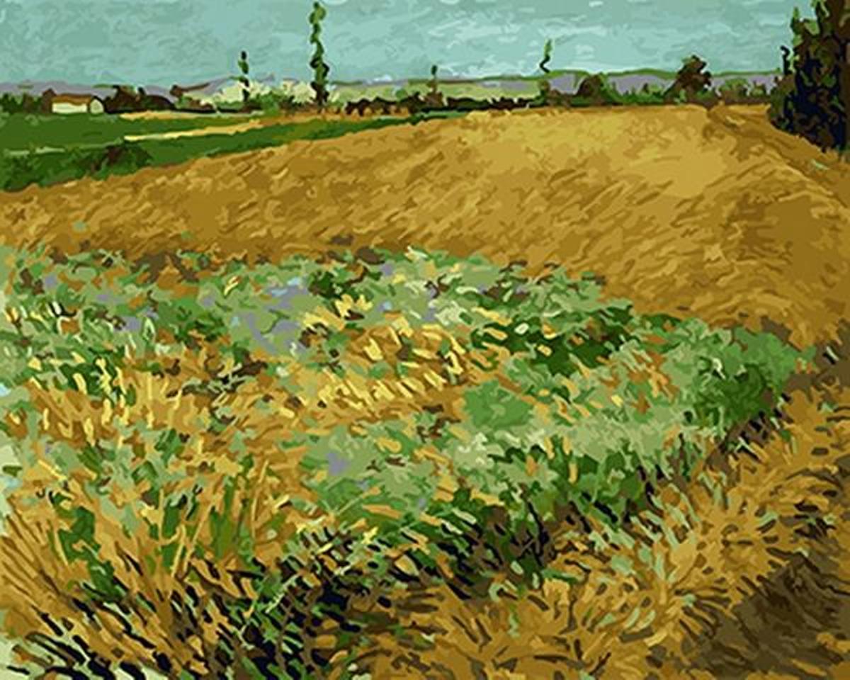 Wheat Field with the Alpilles Foothills by Vincent Van Gogh - Van-Go Paint-By-Number Kit