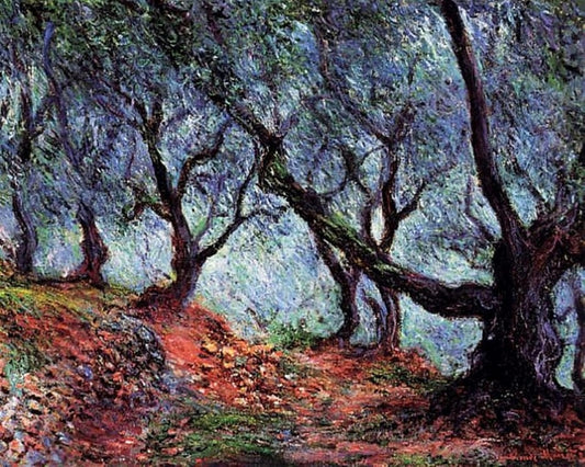 Group of olive trees in Bordighera by Claude Monet - Van-Go Paint-By-Number Kit