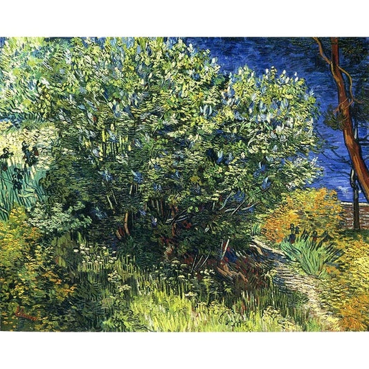 Bush by Vincent Van Gogh - Van-Go Paint-By-Number Kit